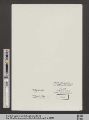Neumann, Jette