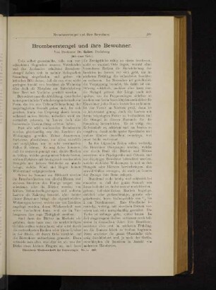 Brombeerstengel und ihre Bewohner.