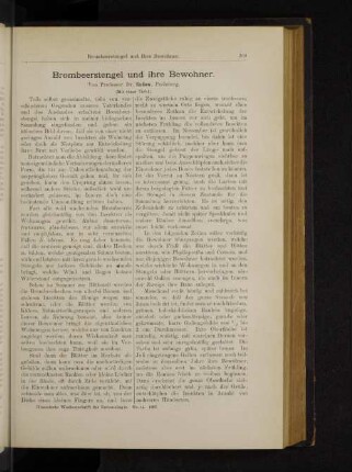 Brombeerstengel und ihre Bewohner.