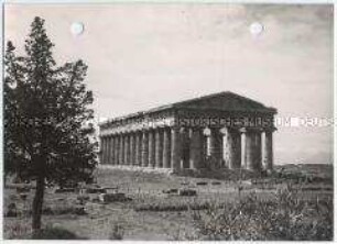 Ruinenstätte Paestum, Tempel