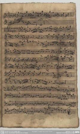 Fasch, J. F.[?], Suiten, D-Dur / Ausw.
