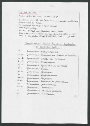 Ms. boruss. qu. 246