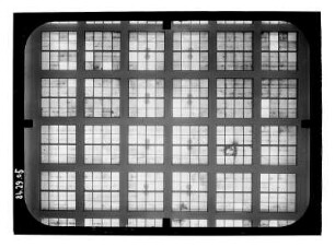 Berlin-Mitte, Gartenstraße 5. Stadtbad Mitte (1929-1930; C. Jelkmann, H. Tessenow). Decke in der Schwimmhalle