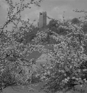 Trautenburg. Burgruine