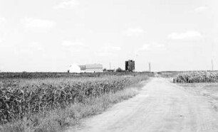 Dreiheide-Großwig. Blick zur Bockmühle, Ruine, Betonstraße 1