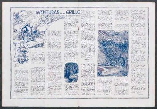 Aventuras de un grillo