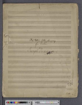 Andantino u. All[egr]o scherzoso [op. 1]