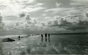 Wanderung im Wattenmeer