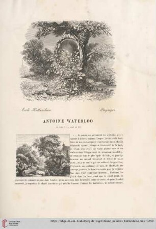 Antoine Waterloo