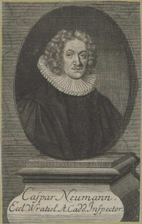 Bildnis des Caspar Neumann