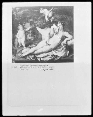 Leda