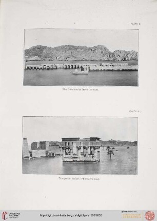 Plate II - XIV