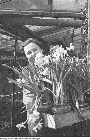 VEB Gartenbau, März 1954