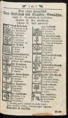 Von Gesträuch und Stauden-Gewächsen