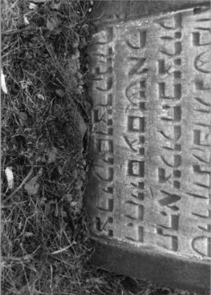 Grabstein 44 (Index: 99796059) Maße HxBxT: 72x54x8 cm Symbolik: Blüte: Grabstein 44 (Detailaufnahme)