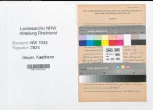 Entnazifizierung Kaethenn Geyer , geb. 18.07.1894 ()