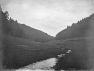 Landschaftsblick : Ein Bach vor Berghängen mit Bergwald