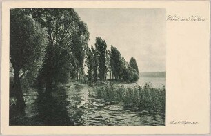 Wind und Wellen