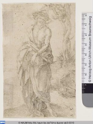 Der Schmerzensmann mit gebundenen Händen (Ecce homo)