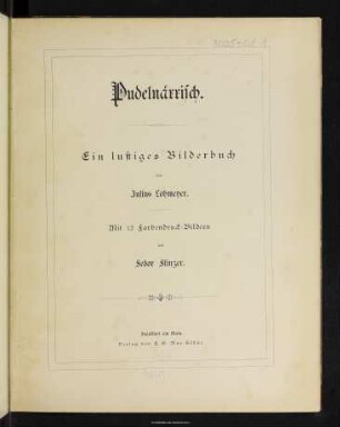 Pudelnärrisch : ein lustiges Bilderbuch