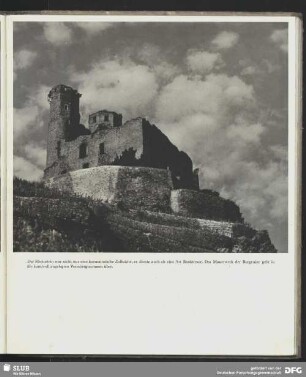 Burgruine des Rheinsteins