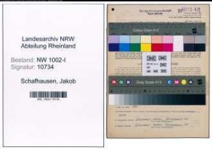 Entnazifizierung Jakob Schafhausen, geb. 02.08.1904 (Abteilungsleiter)