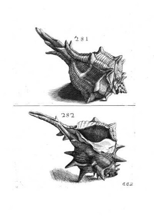 281. - 282.