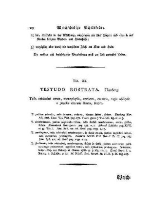 Tab. XX. Testudo Rostrata Thunberg : Weichschalige Schildkröte des Thunberg