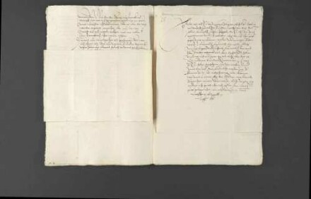 Militärische Werbungen und Kriegsrüstungen Pfalzgraf Wolfgangs zugunsten Louis I. de Bourbon, Fürst von Condé, und Verwarnung des Pfalzgrafen durch Kaiser Ferdinand I. und Landgraf Philipp von Hessen.