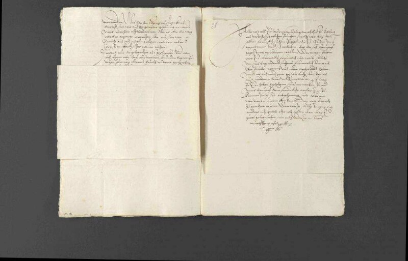 Militärische Werbungen und Kriegsrüstungen Pfalzgraf Wolfgangs zugunsten Louis I. de Bourbon, Fürst von Condé, und Verwarnung des Pfalzgrafen durch Kaiser Ferdinand I. und Landgraf Philipp von Hessen.