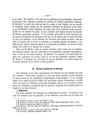 10. Stratum bacillorum et conorum.