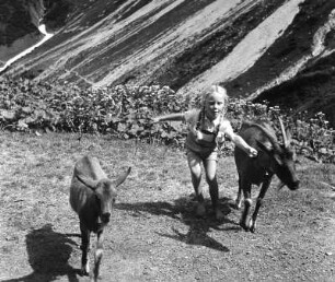 Kinderbilder. Allgäuer Alpen. Kleines Mädchen mit Ziegen bei der Schönberghütte