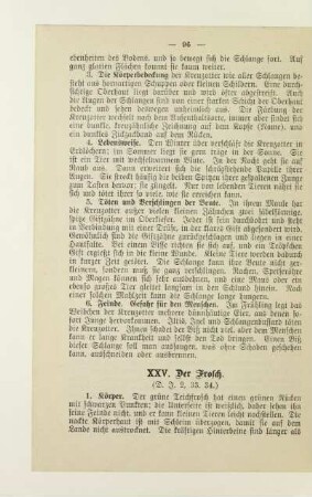 XXV. Der Frosch