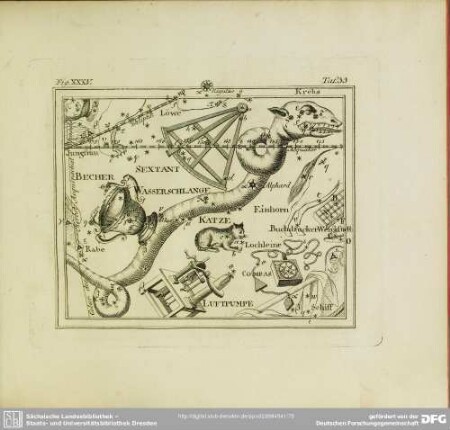 Fig. XXXV