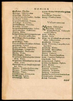 Vestium nomina: