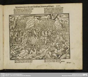 Aßdrubal wirt mit seinem Volck von Römern geschlagen. LXV.
