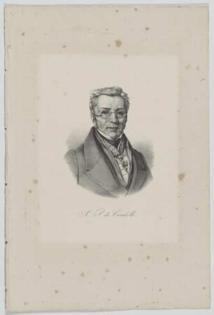 Bildnis des A. P. de Candolle