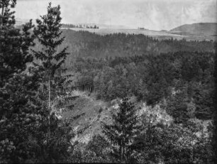 Wald : Blick über einen Wald