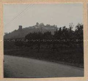 Alt-Leiningen
