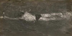 Schwimmen. Rhythmische Zusammenarbeit