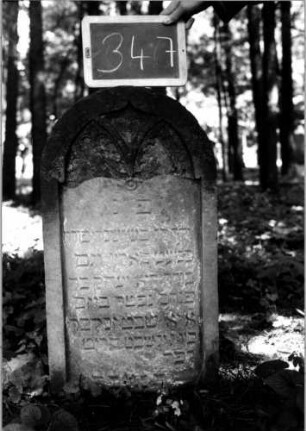 Grabstein 347 [Nir S. 221 Nr. 21.04]