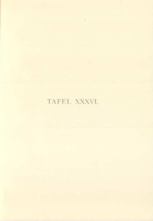 Tafel XXXVI.