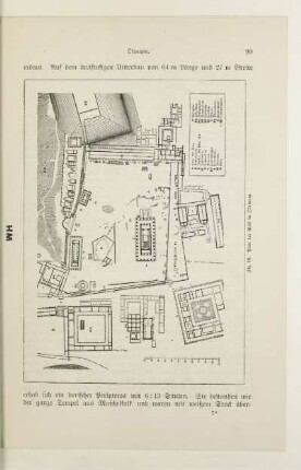 Fig. 10. Plan der Altis in Olympia
