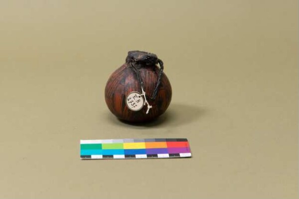 Fruit of the calabash tree