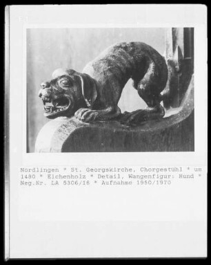 Ein Hund