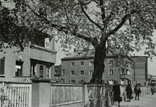 Zwinglistraße