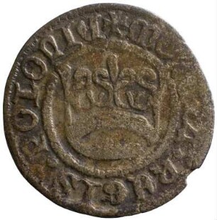 Münze, Kwartnik, 1501/1506