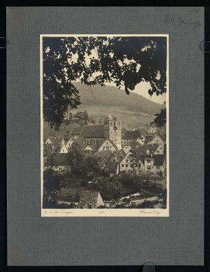 128, Wiesensteig. (Nr. 3350).