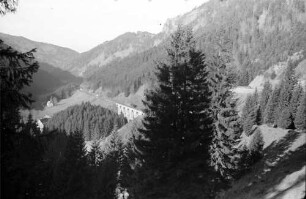 Höllental: Ravennabrücke; Vordergrund Tanne