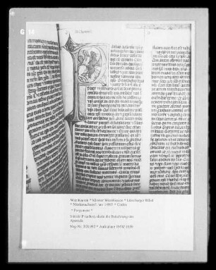 Lüneburger Bibel — Initiale P (aulus), darin die Bekehrung des Apostels